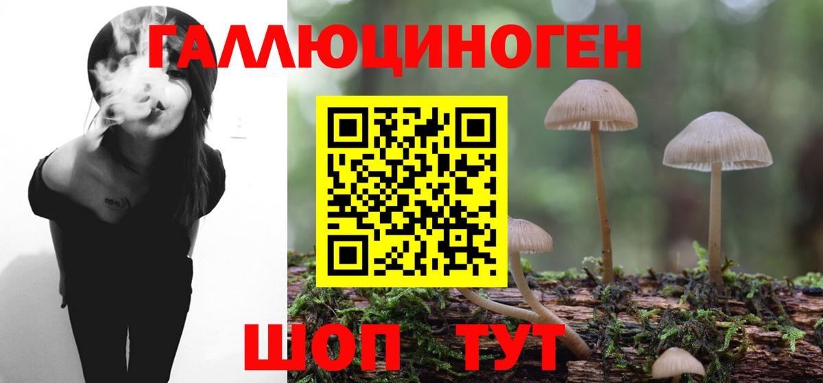 Галлюциногенные грибы прущие грибы Кумертау