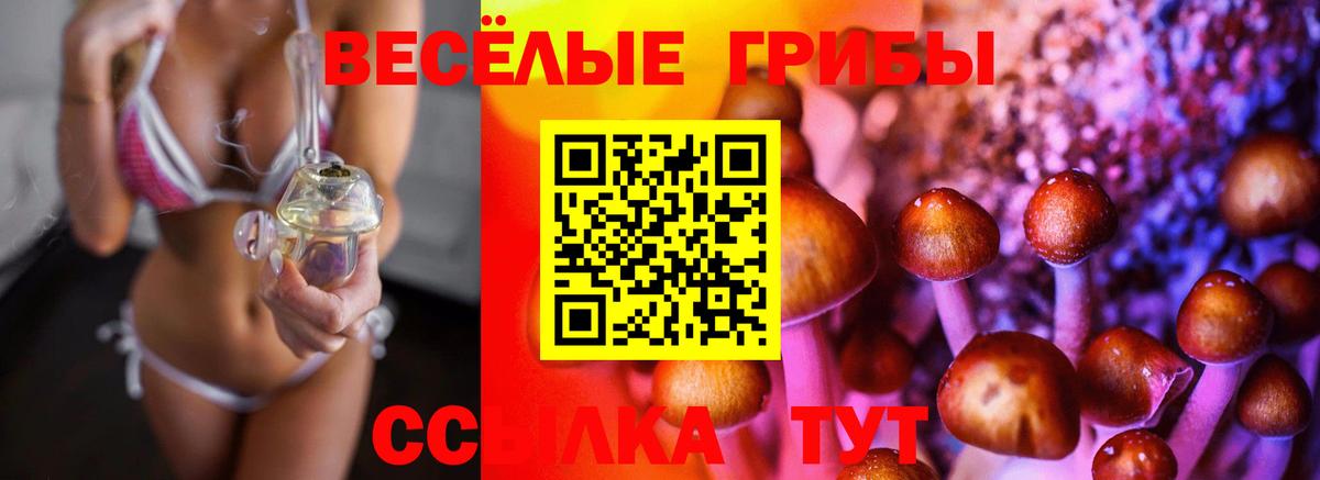 Кумертау  Псилоцибиновые грибы Magic Shrooms  Галлюциногенные грибы прущие грибы  Вход с VPN 